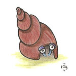 09 The Hermit: Seeking
