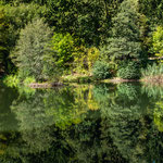 Basaltsee, Rhön, Sep. 2018