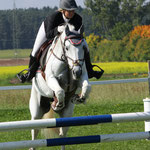 Stute v. Coriograf B