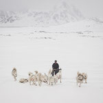 Hejo spann den Schlitten an... Schlittenhunde in Kulusuk, Ostgrönland