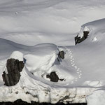 Nanook was here - Eisbärenspuren nahe Tiniteqilaaq, Ammassalik, Ostgrönland