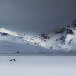 On tour - Wanderer auf dem Kong-Oscar-Fjord bei Tasiilaq, Ammassalik, Ostgrönland