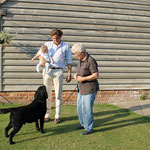 ROCHEBY GENTLEMAN GEORGE - CRUFTS 2013 1st Special Junior Dog