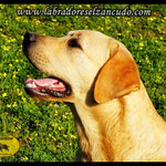 8 MESES