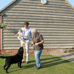 ROCHEBY GENTLEMAN GEORGE - CRUFTS 2013 1st Special Junior Dog