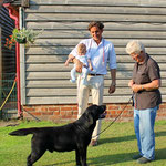 ROCHEBY GENTLEMAN GEORGE - CRUFTS 2013 1st Special Junior Dog