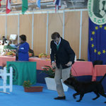 Exposición Castuera 2012 - Cl. Chachorros - Exc 1º y Mejor Cachorro