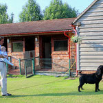 ROCHEBY GENTLEMAN GEORGE - CRUFTS 2013 1st Special Junior Dog