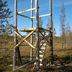 wildlife watching tower 