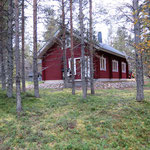 Näkymä metsästä 