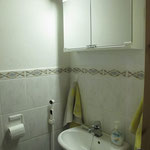 Downstairs WC, photo2 