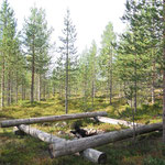laavun nuotiopaikka