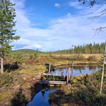 At the bog bond