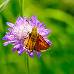 Foto: Peter Faber