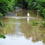 Un camino vecinal quedó cubierto por el agua del Río Garrapata que se desbordó en Chone.