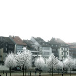 Aarberg, BE