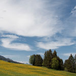 Flerden, GR