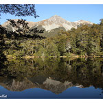 Craigieburn Forest Park