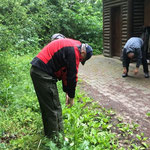 Qi-Gong Sissach an heissen Sommertagen im Wald und im Park