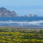 Océan Pacifique-Parc national de Chiloé