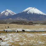 Volcans Parinacota et Pomerape-Parc Lauca-Chili