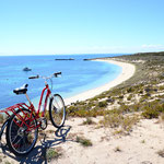 Fahrradtour auf Rottnest Island / Cycling tour on Rottnest Island