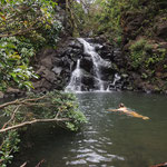 Wasserfall im Urwald / Waterfall in the jungle