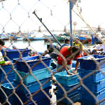 Fischer sortieren ihre Waren am Bootssteg in Paracas / Fishermen sorting their products at the jelly in Paracas