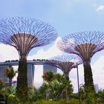 Botanischer Garten in Singapur