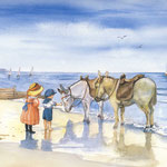 Meeting the beach donkeys