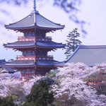 京都　清水寺　三重塔（地図右中央⑪）
