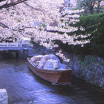 京都　高瀬川（地図右中央⑨）　 雨が降っておりプラスチック袋が被せられたのが残念でした。 高瀬川は二条城から伏見に至る運河であります。