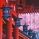 京都　平安神宮 （地図右中央⑥）  拝観入り口からの写真 吊り灯篭と重なり素敵である。 平安神宮は平安遷都1000年を記念して造営 建物の朱色と奥の桜の色が調和された写真である