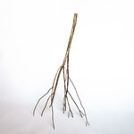 Untitled (Survival Sculptures), 2017 - wood