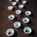 To piss blood, 2000 . digital print and plastic . variable dimension