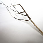 Untitled (Survival Sculptures), 2017 - wood