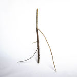 Untitled (Survival Sculptures), 2017 - wood