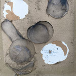 Accidental Theory, 2024 . photography . cm 40x30
