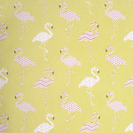 flamand jaune