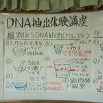 DNA体験新講座です。