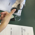 自分のサンプル指紋を採取します