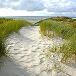 Der Weg zum Glück (Amrum)