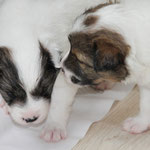 Culito und Cailin