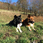 Baduni und Delisha, ein super Team