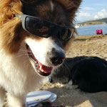 coole cailin