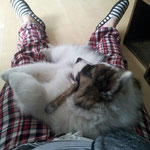 das nenne ich mal bequem