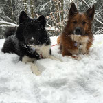 Delisha und Baduni