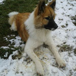 Nala-Dominga in ihrem ersten Schnee