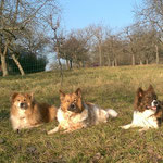 Cailin und Cashira sind bei uns zu Besuch