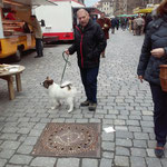 Chantico auf dem Wochenmarkt